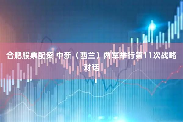 合肥股票配资 中新（西兰）两军举行第11次战略对话