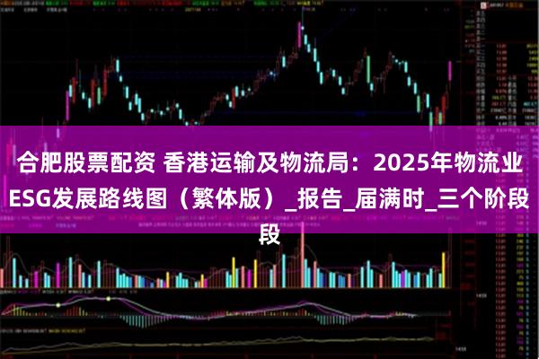 合肥股票配资 香港运输及物流局：2025年物流业ESG发展路线图（繁体版）_报告_届满时_三个阶段