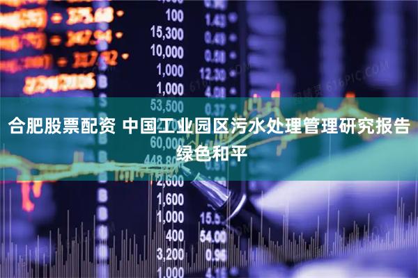 合肥股票配资 中国工业园区污水处理管理研究报告 绿色和平